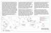 bou58 voyage assess_thumb.gif
